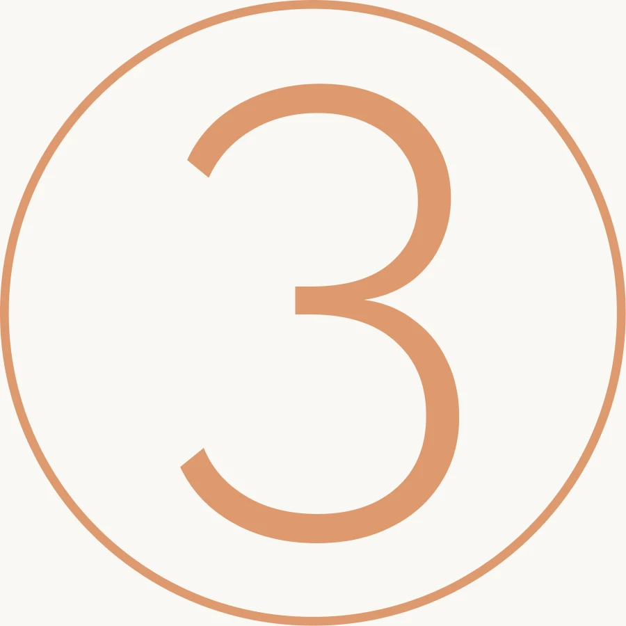 Apple pay icon 3