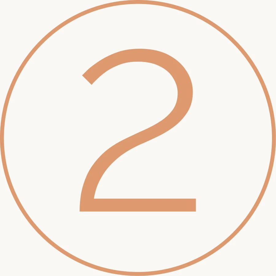 Apple pay icon 2 